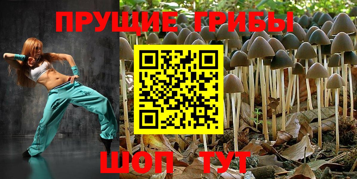 Галлюциногенные грибы GOLDEN TEACHER Красный Сулин