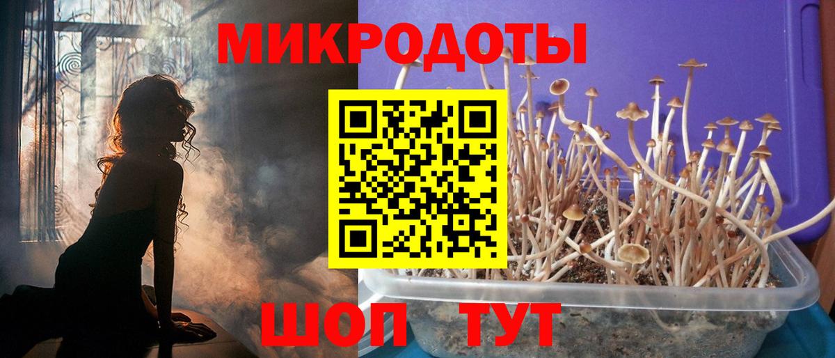 Галлюциногенные грибы Psilocybe  Вход с VPN  Красный Сулин 